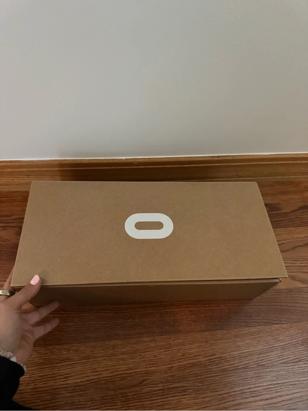 Oculus Standalone VR Headset with Two White Controllers